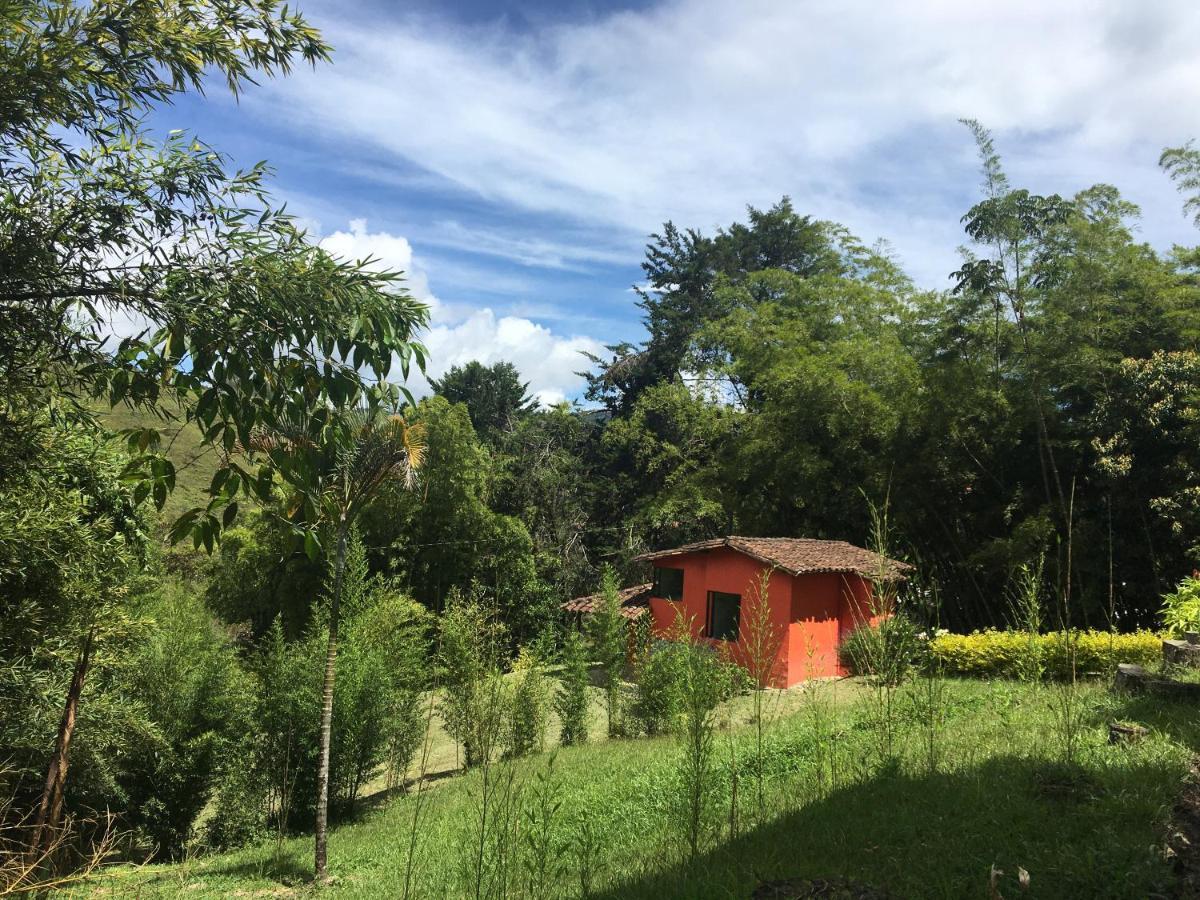 Ecolodge Bahia Del Penon Guatape Ngoại thất bức ảnh