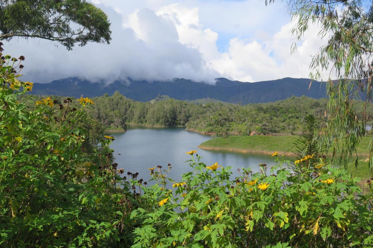 Ecolodge Bahia Del Penon Guatape Ngoại thất bức ảnh