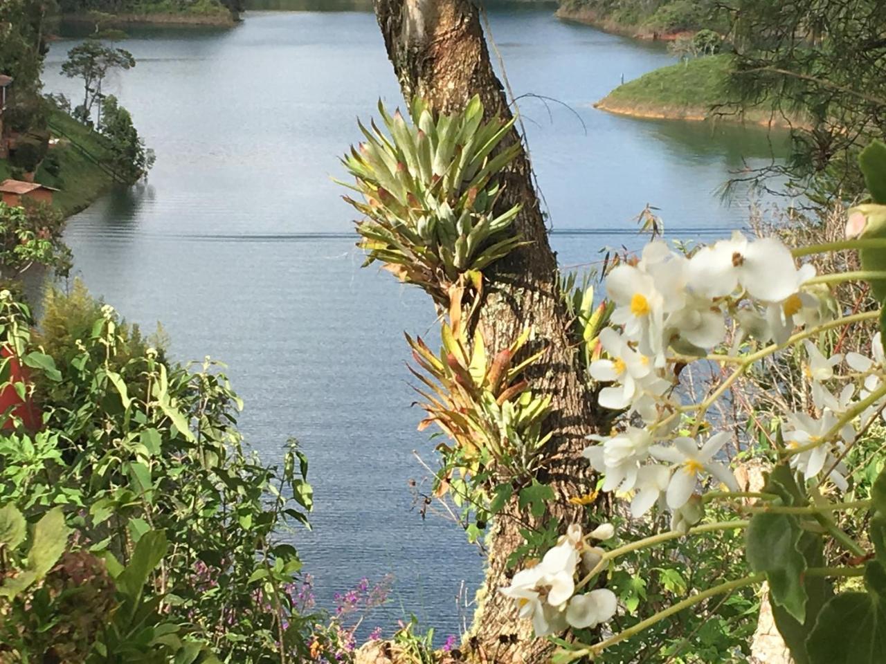 Ecolodge Bahia Del Penon Guatape Ngoại thất bức ảnh